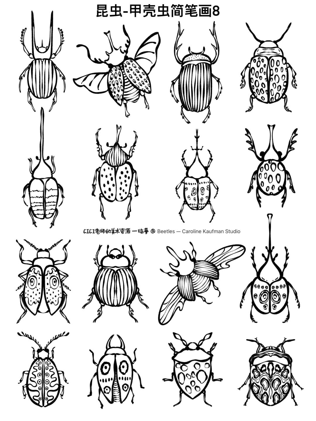 昆虫-甲壳虫｜简笔画8