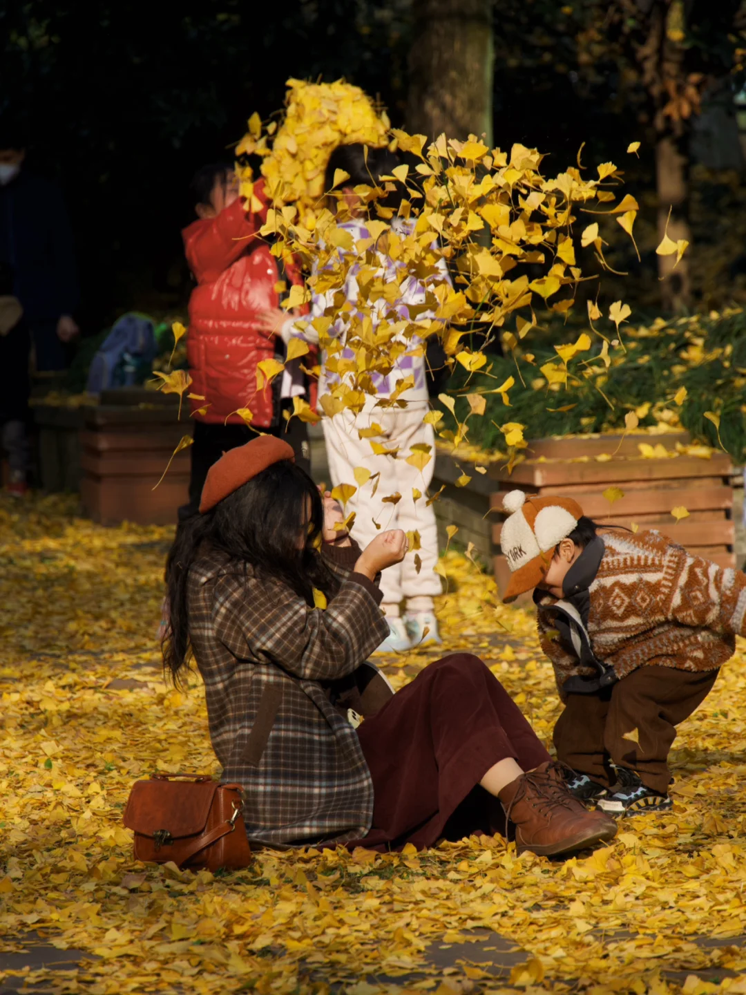 成都银杏树下的众生相📸