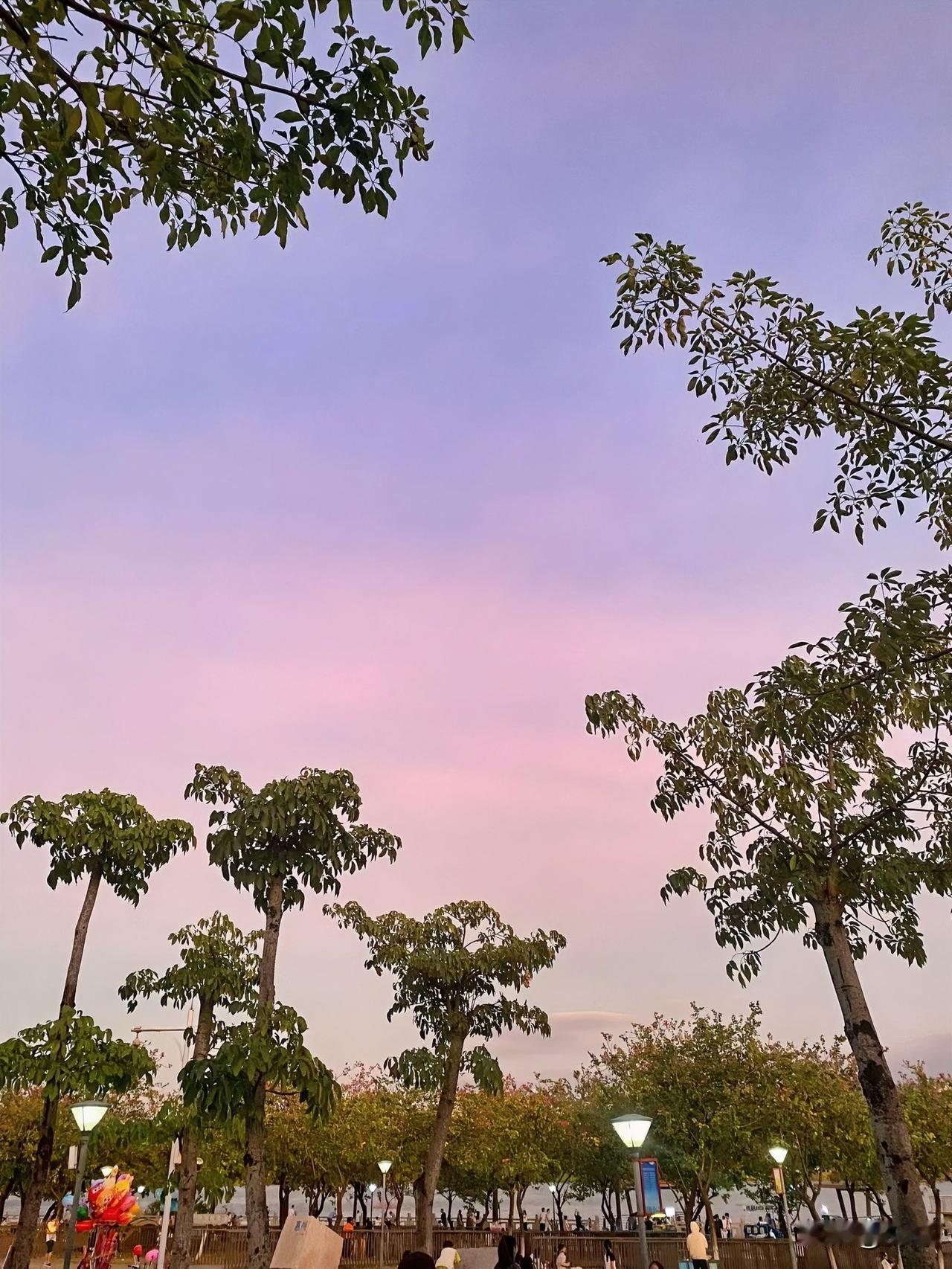 傍晚遛弯儿撞见这神仙天色——天顶是软乎乎的淡紫，往下晕成粉雾似的，像把糖霜泼在了