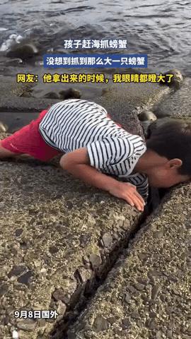 解释不清了！山东，小男孩去赶海捞螃蟹，费了半天劲终于捞上来一只，其实最开始大家都