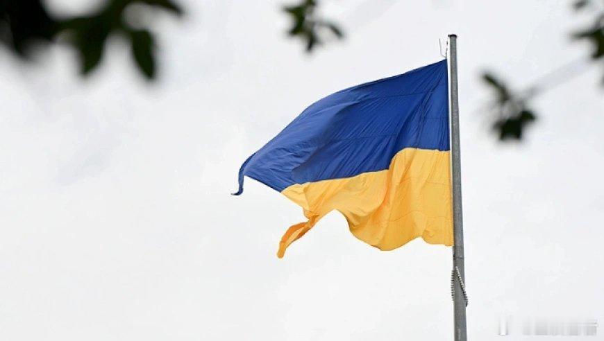 此前，乌克兰国家反腐败局和特别反腐败检察院展开秘密调查行动，破获一个“有组织犯罪