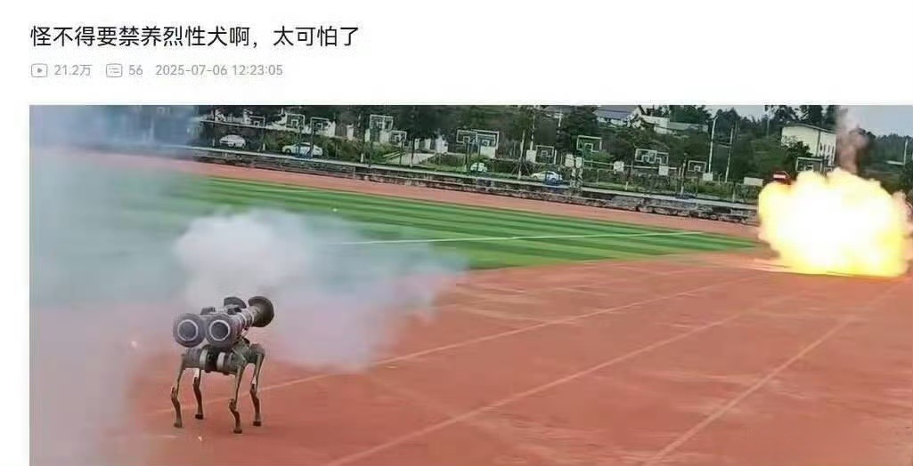 烈性犬危险啊，尤其是带火箭筒的烽火问鼎计划