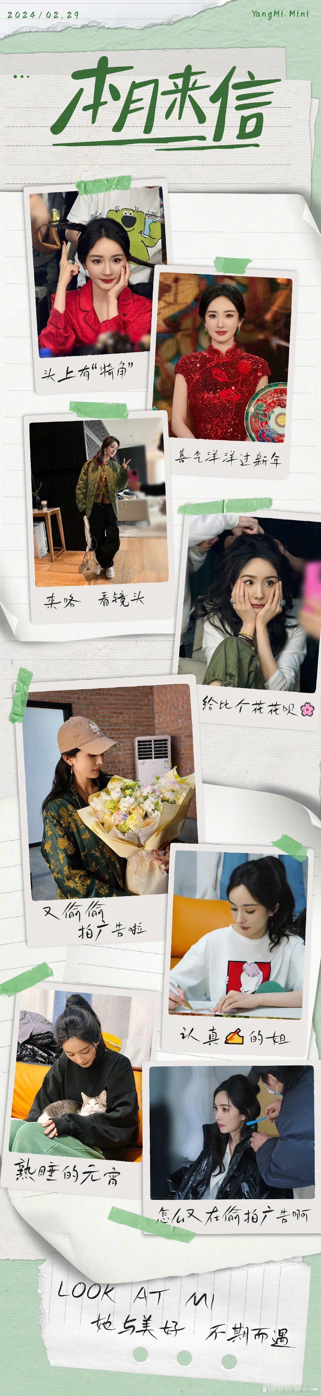 #杨幂抱的猫叫元宵# 那只猫猫真的叫元宵啦 #杨幂托脸自拍# ​​​