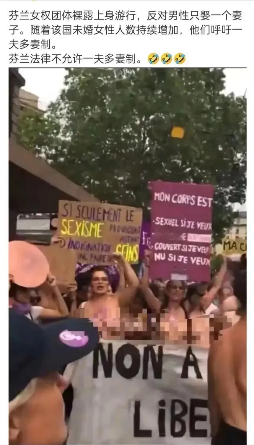 芬兰女权裸体游行反对一夫一妻制，支持一夫多妻，我一直以为世界女权都是一样的，看来