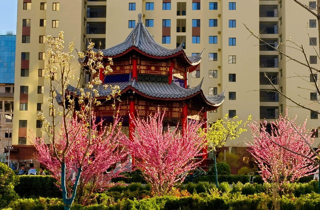 下联；秋观千树叶落。邀对上联春赏百花吐艳。