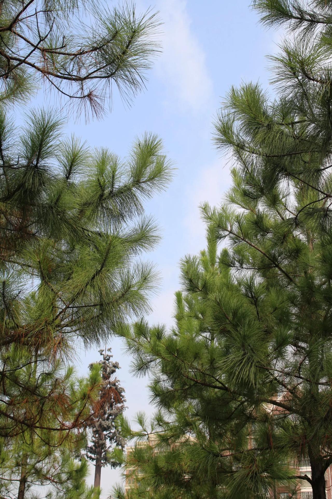 以前没提离婚的时候，也没上班的时候，每次跟孩子爸爸要生活费，还有点羞耻感。

现