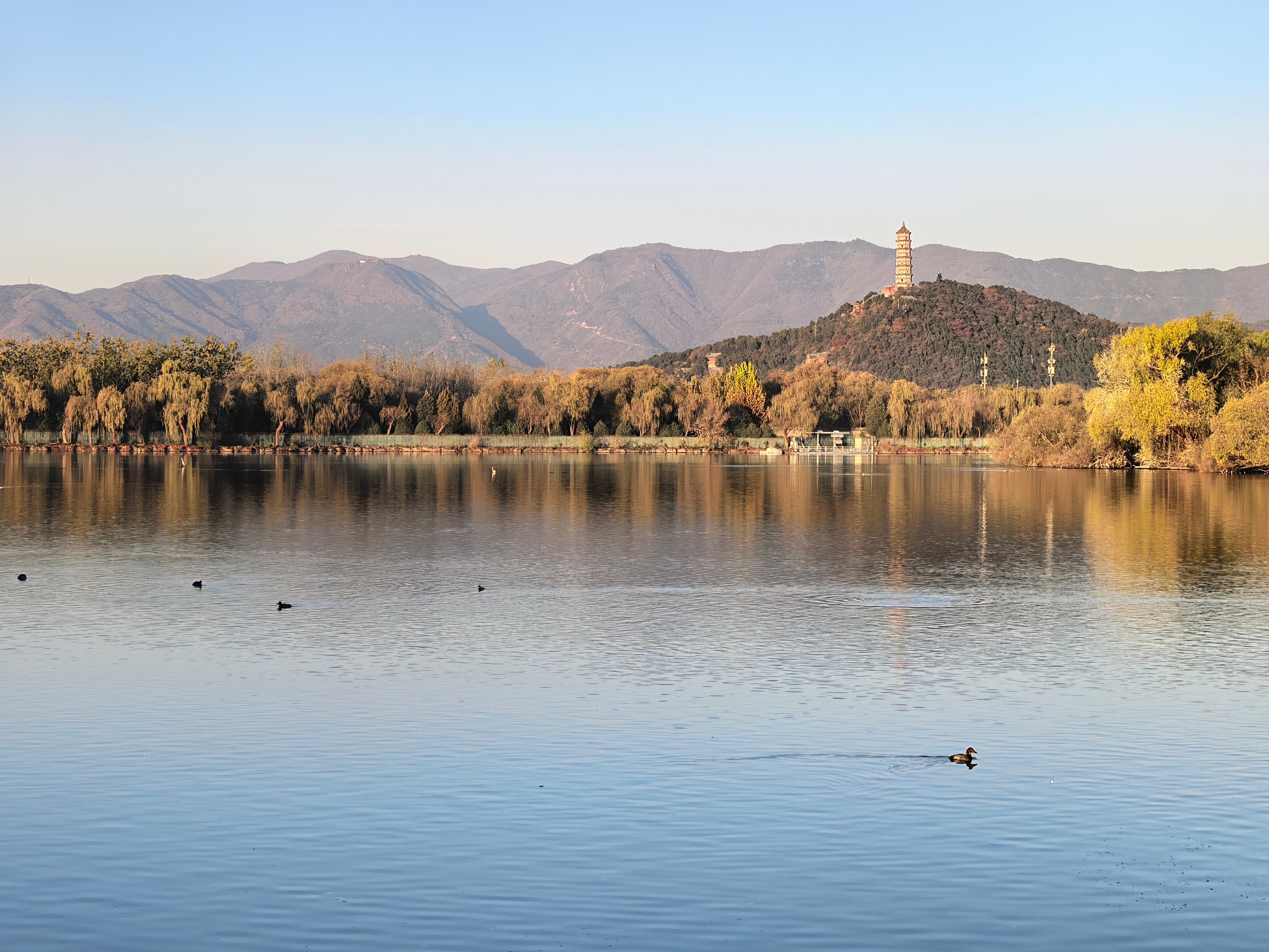 S-上午按照昨天的计划，适当的减了点仓位，整体减了点，主要减了点机器人，另外适当