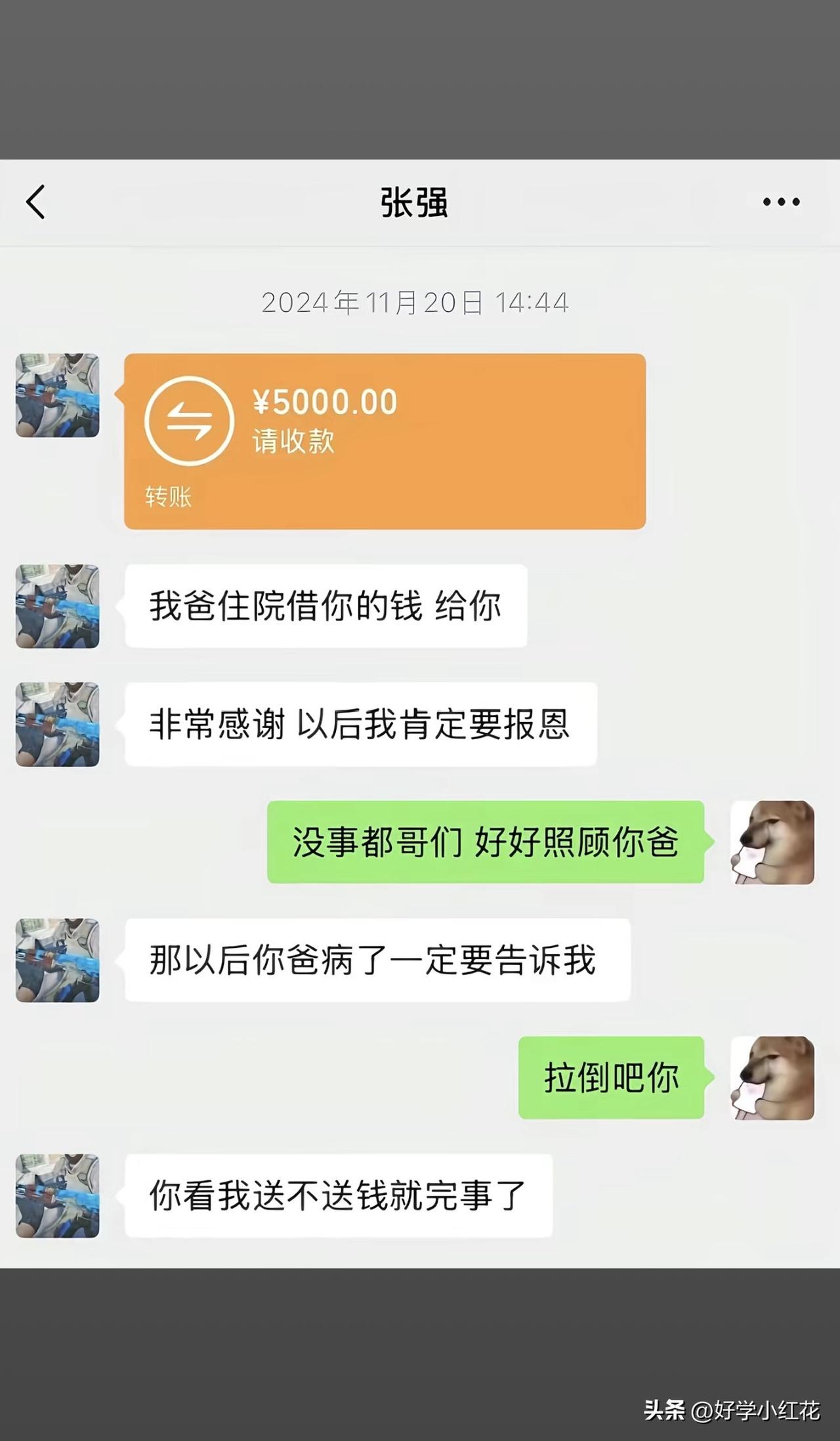 这大哥人是实在的，就是脑子也有点实在[捂脸][捂脸]