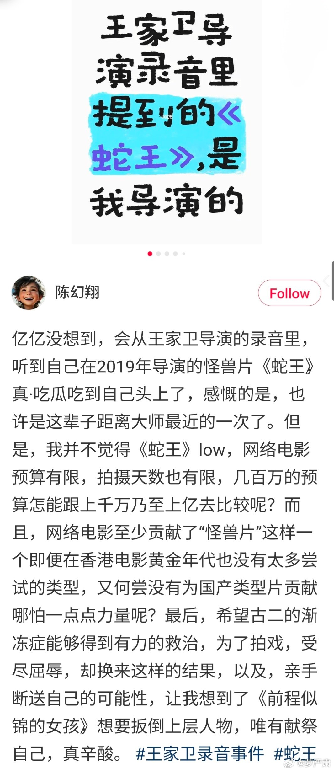 王家卫录音提及的网络大电影《蛇王》的导演陈幻翔发文，指网大投资有限不能能大项目比