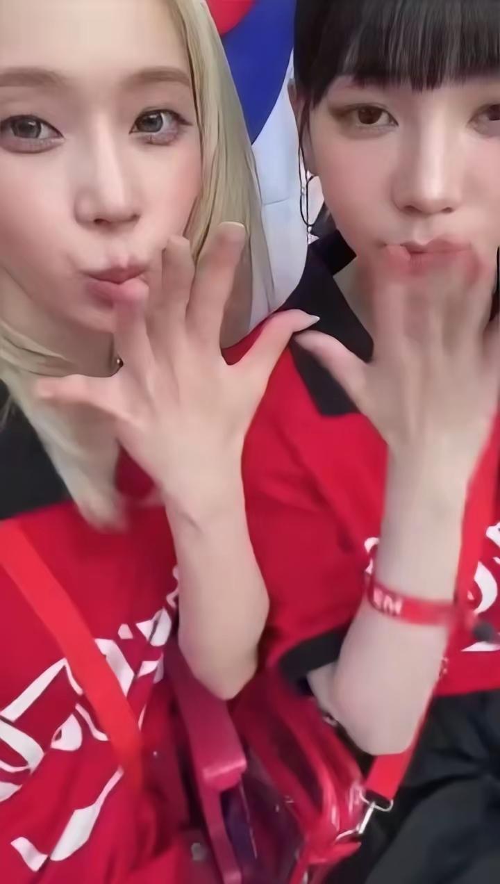 韩国队的女球迷颜值好高😲