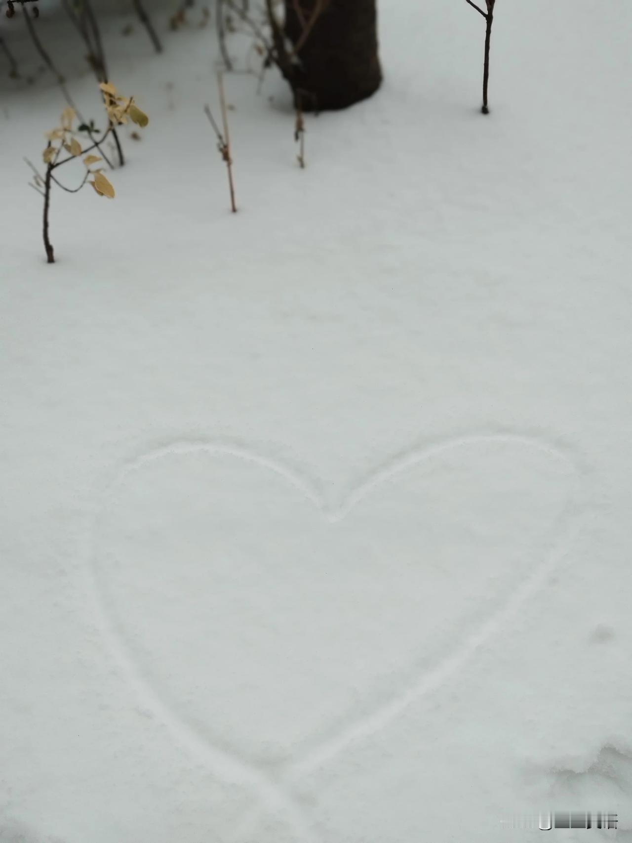 久违了，一场大雪。
《百年孤独》里超凡脱俗的美人儿，抓着床单飞走了。
看似荒诞，