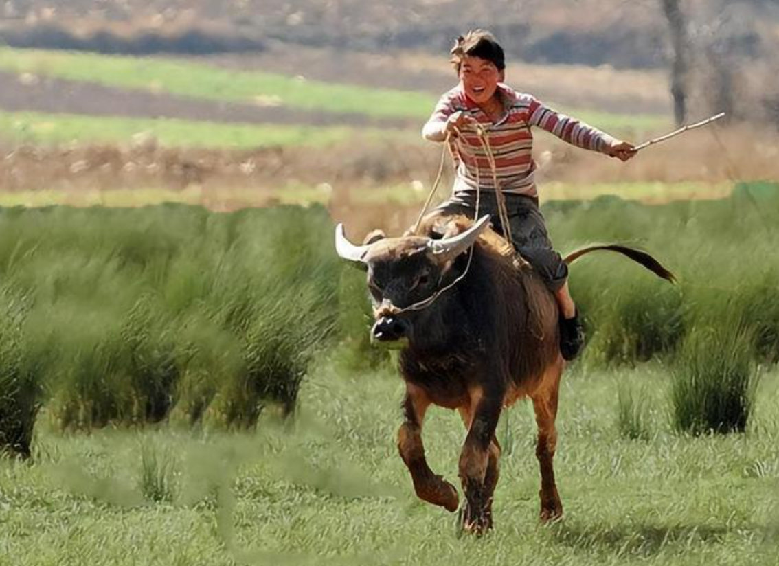 坚持是一种信仰，专注是一种态度！大家下午好，继续回来！在线的朋友，点个赞冒个泡！
