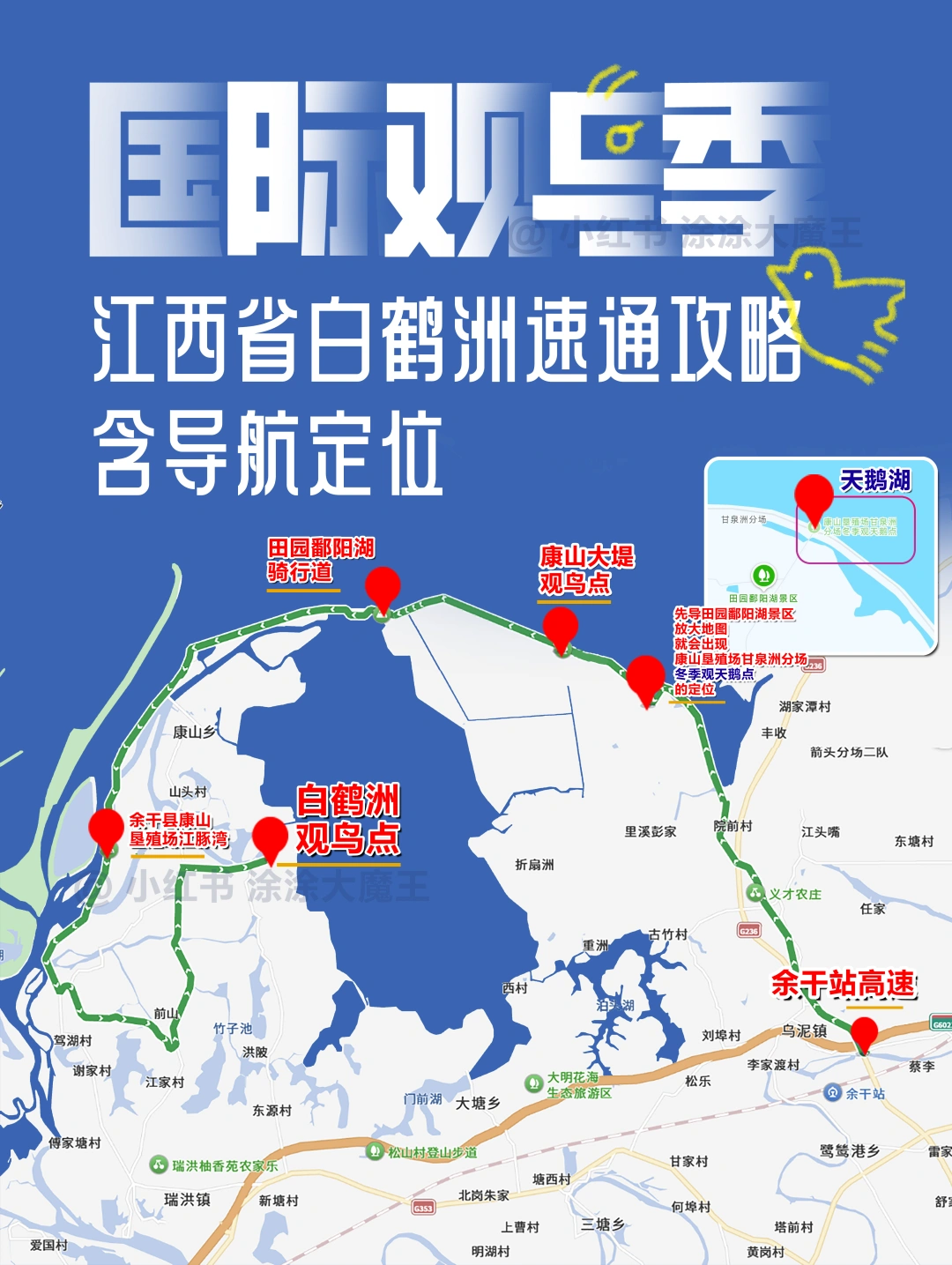 国际观鸟季，江西省白鹤洲速通攻略含导航