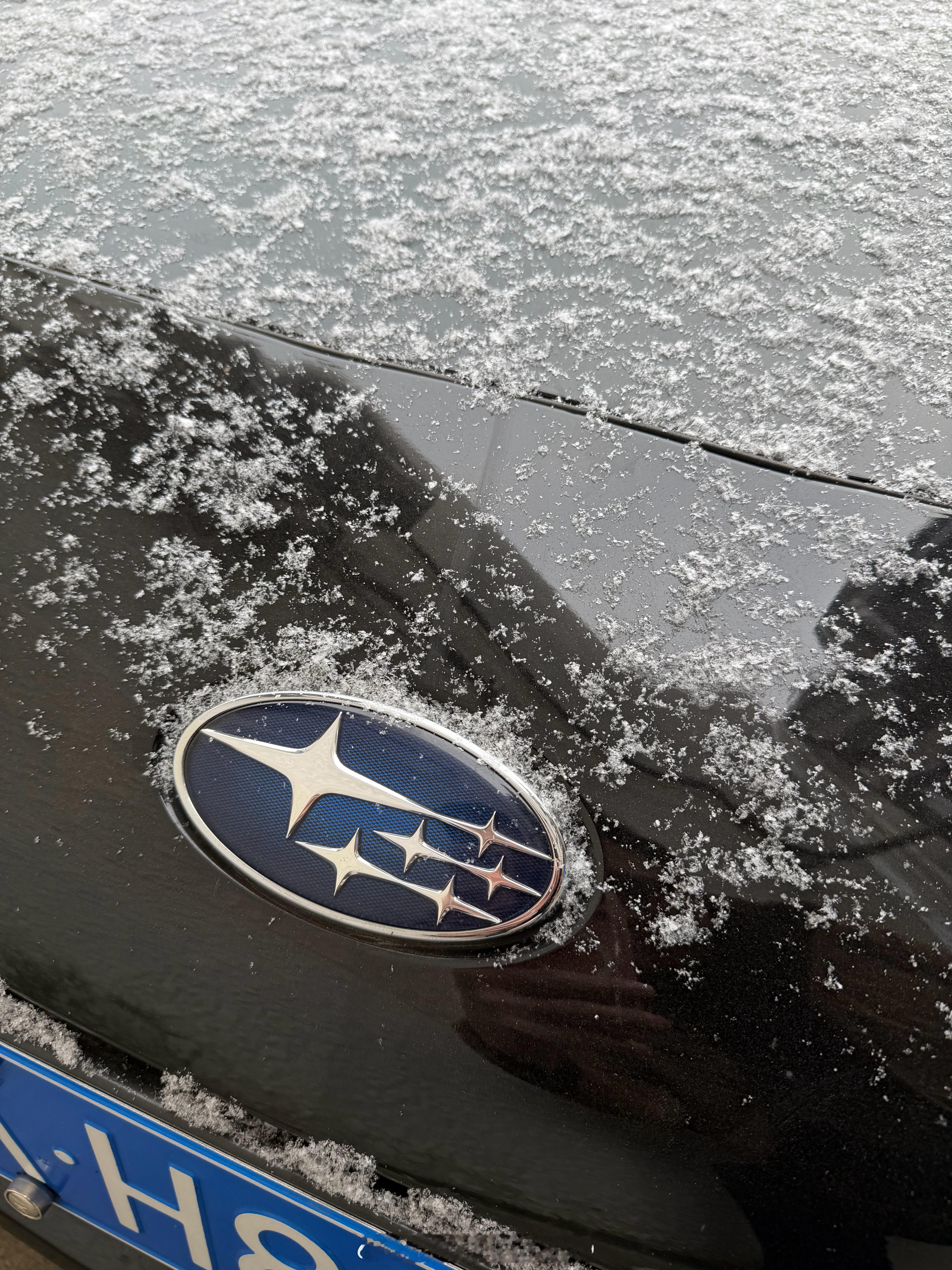 下雪天的正确打开方式赓言赓语