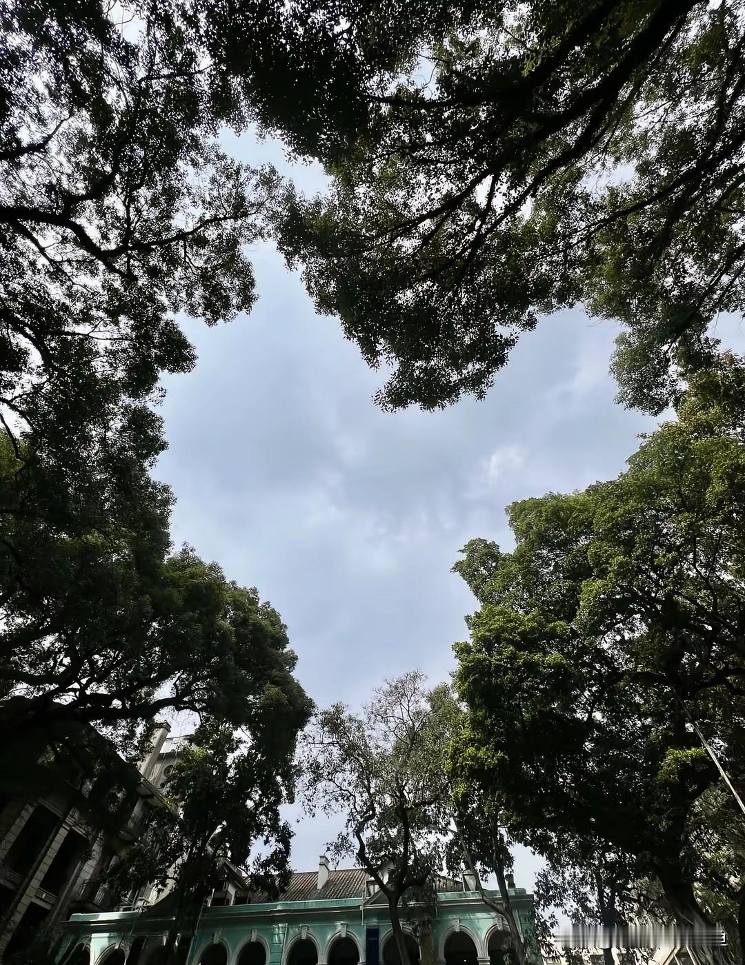 广州沙面这处“爱心机位”真的藏不住了！
 
下午路过沙面大街，看见一堆人举着手机