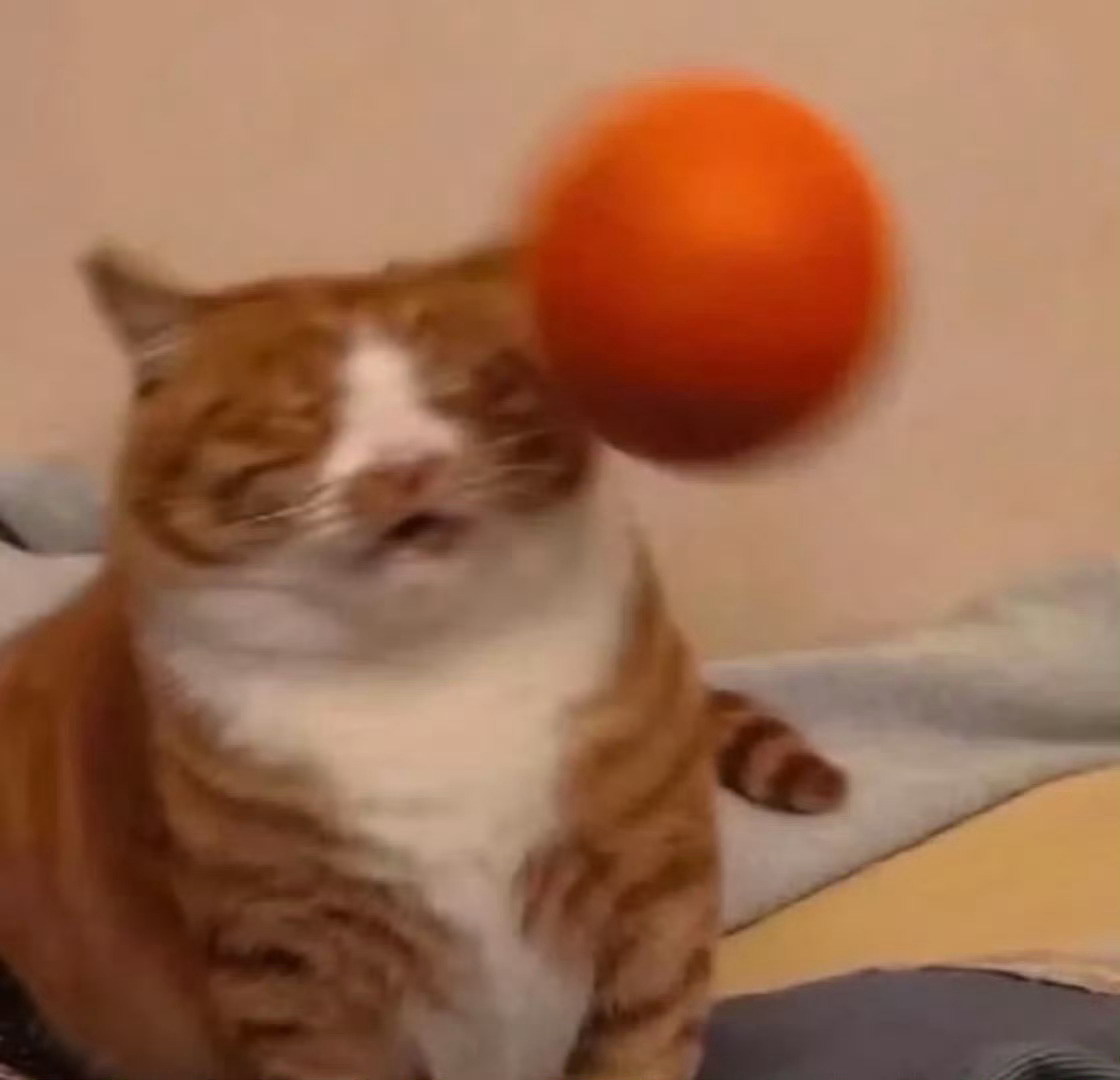 可是我真的觉得换头像好爽 