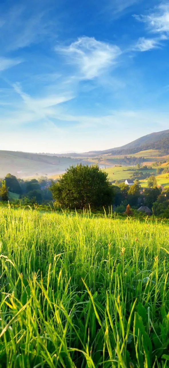 我的孩子不可能考2分-作者：云水迷踪