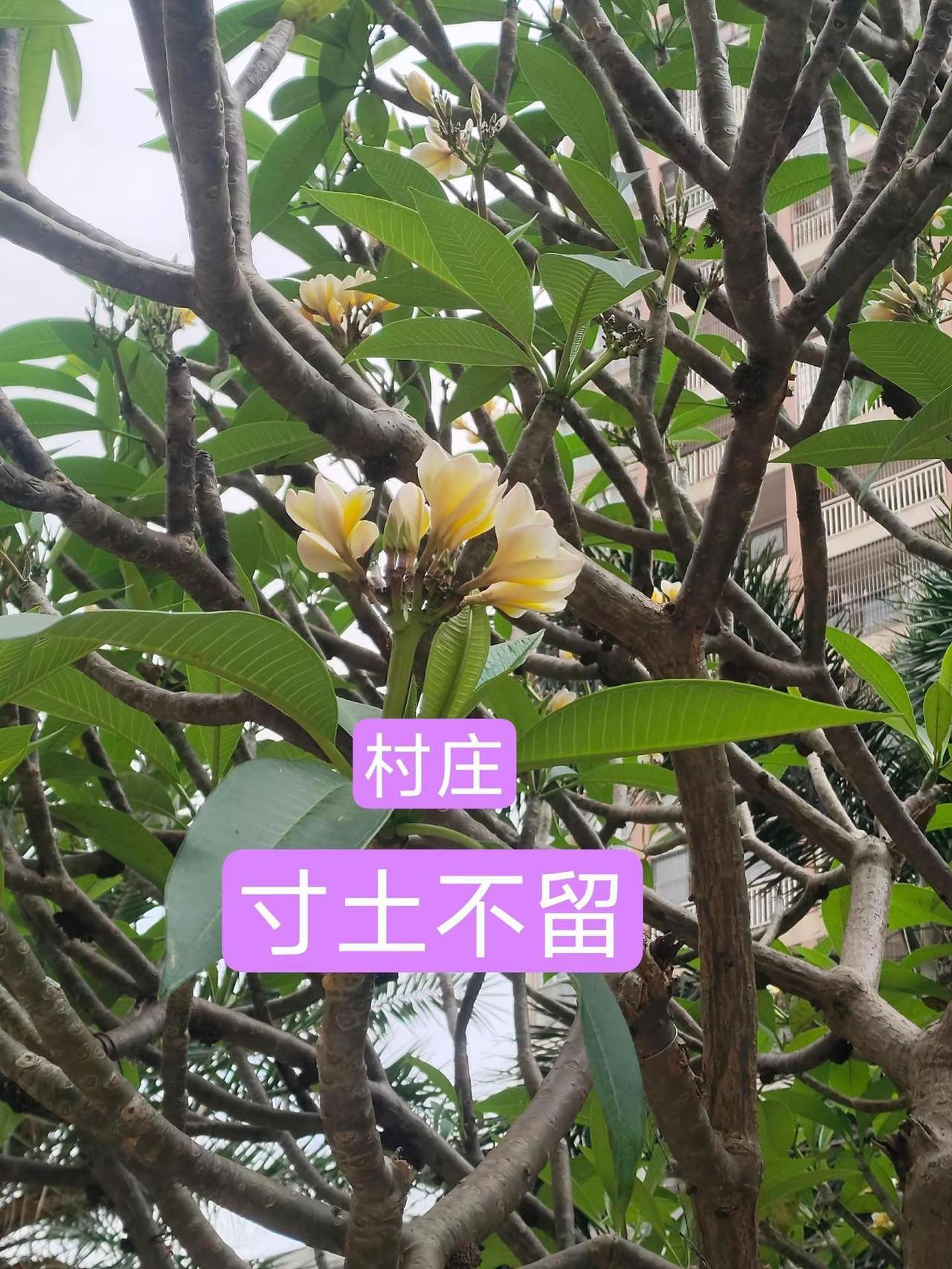 上热搜 新发现 涨知识猜字上热门