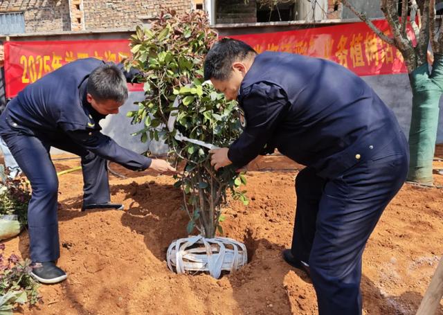 古巷绿意闹春！24届城市绿化周嗨翻资阳