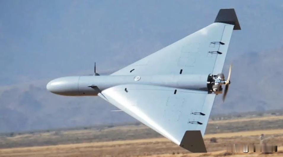 专家警告：伊朗无人机群可能压倒美国“亚伯拉罕·林肯”号航空母舰

国防专家表示，