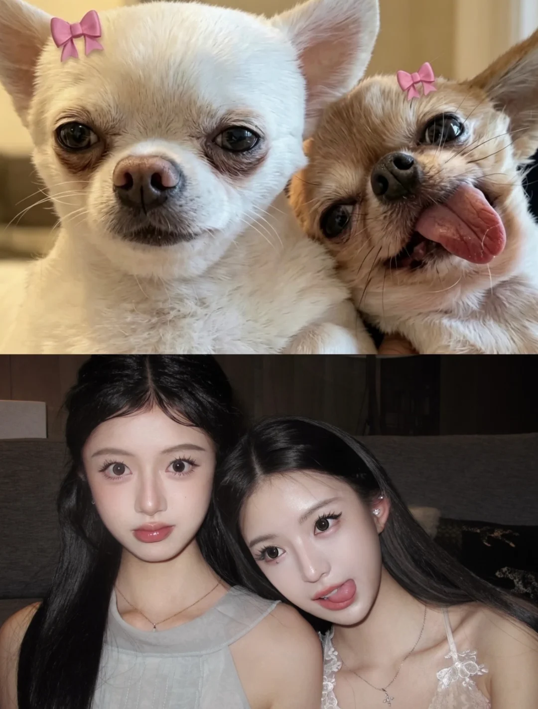 存一些很新的姐妹拍照📷姿势！