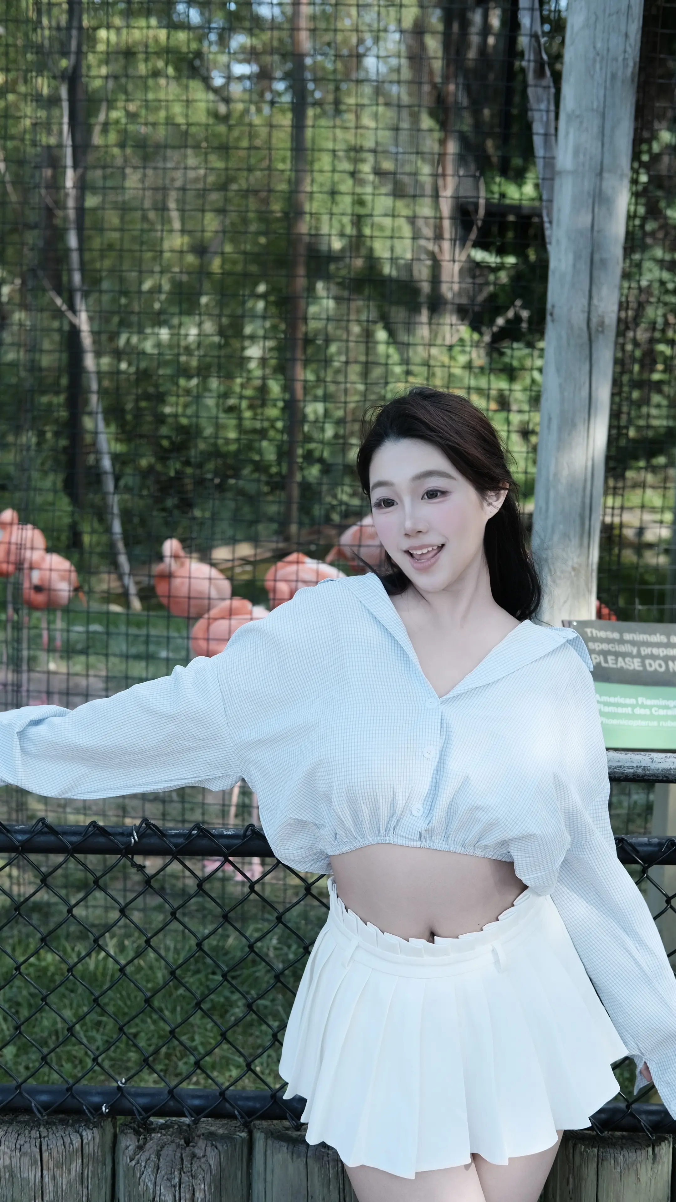 今天星期几 我总想起你