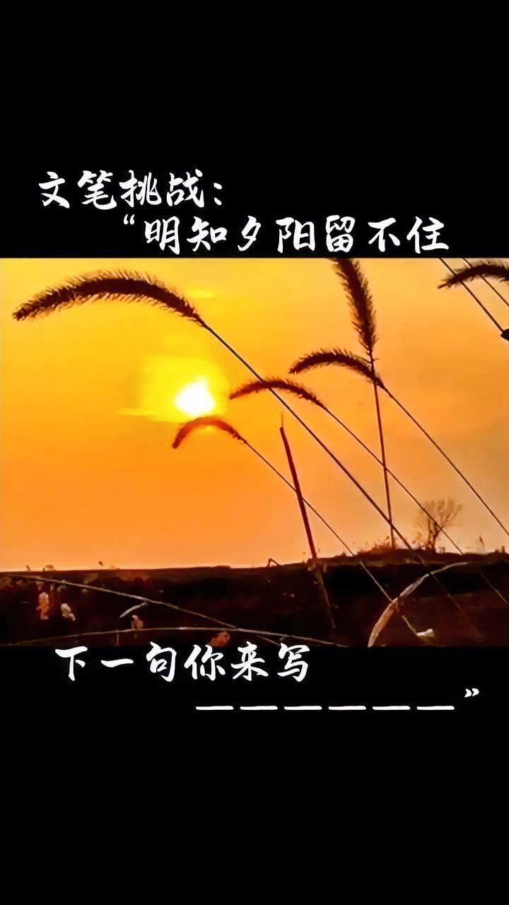 上联：明知夕阳留不住
下联：……
各位友友们，来对对联！