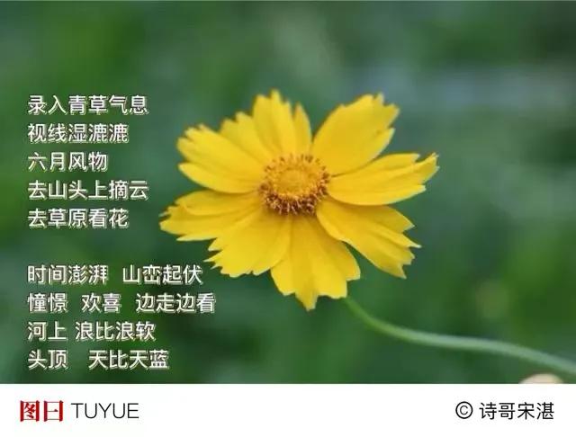 早上采撷
花蕊上亮光
足够我们用一天
．
七月将临  
鸟飞  云也飞
涛声在河