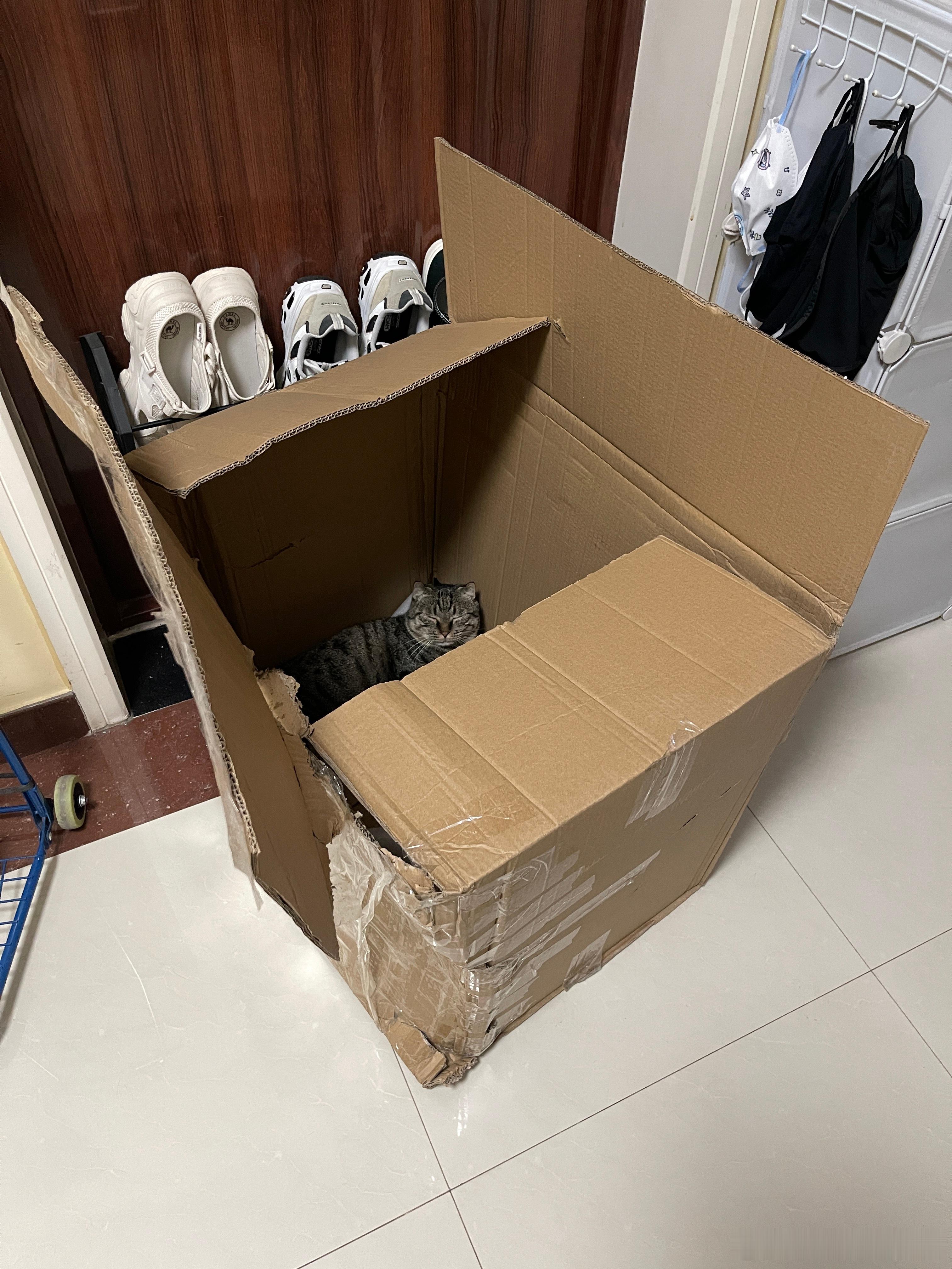 进去之后自己出不来了 一顿扑腾 我在做饭也没管它 过了一阵没动静了 一看睡着了 