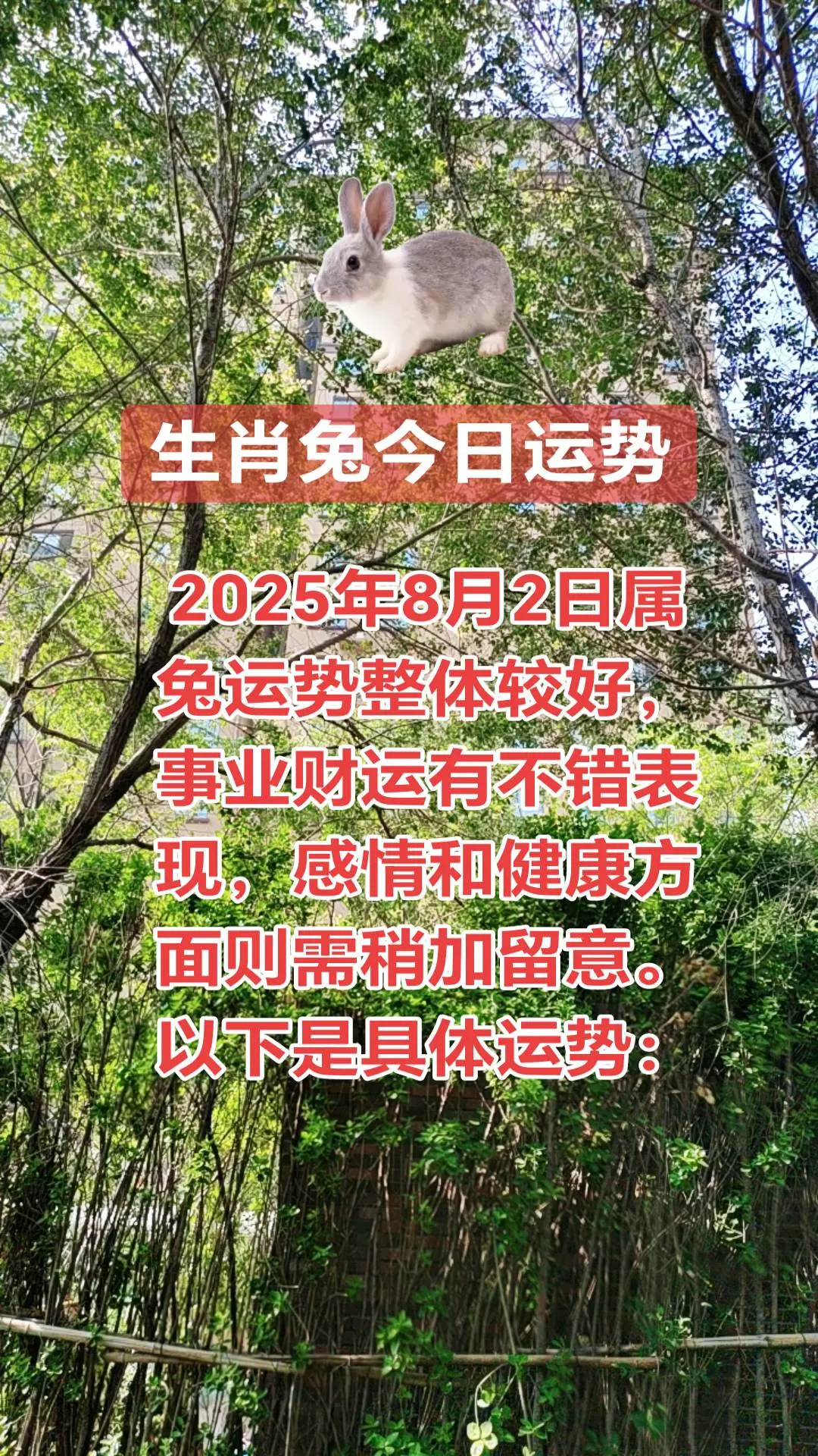 2025年8月2日属兔运势整体较好，事业财运有不错表现，感情和健康方面...