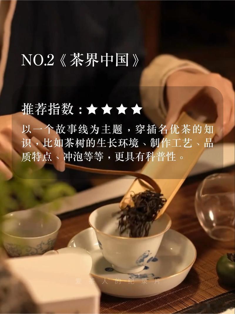 新手必看！十部茶文化电影🎬 带你沉浸式学茶1. 《茶，一片树叶的故事》推荐指数