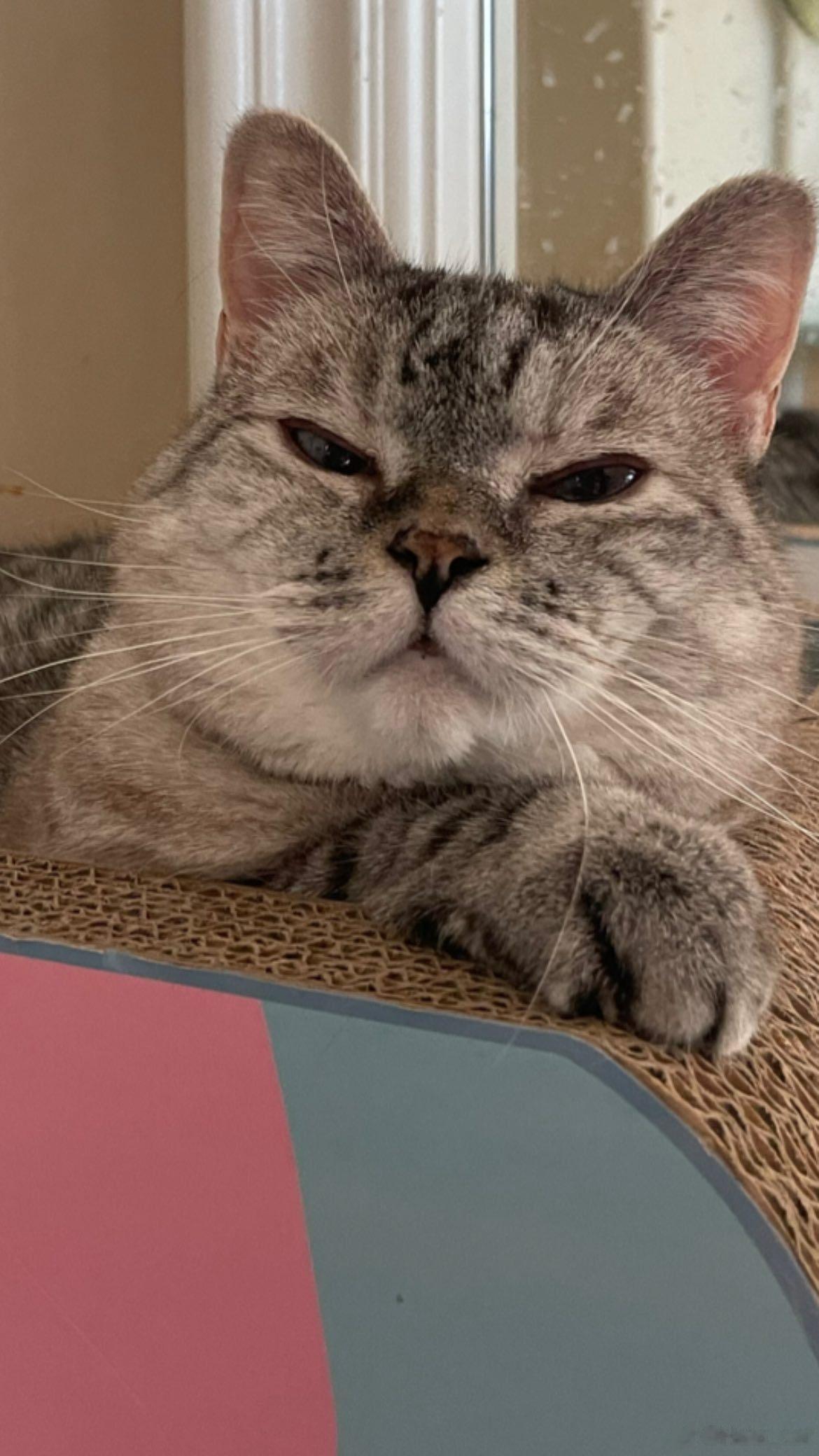 你瞅啥呢 ​​​