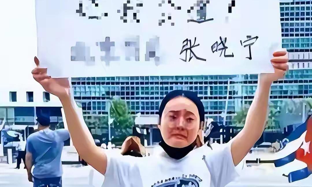 那个为拿美国绿卡而抹黑祖国的张晓宁，最终获25年监禁。

1997年出生的河北姑
