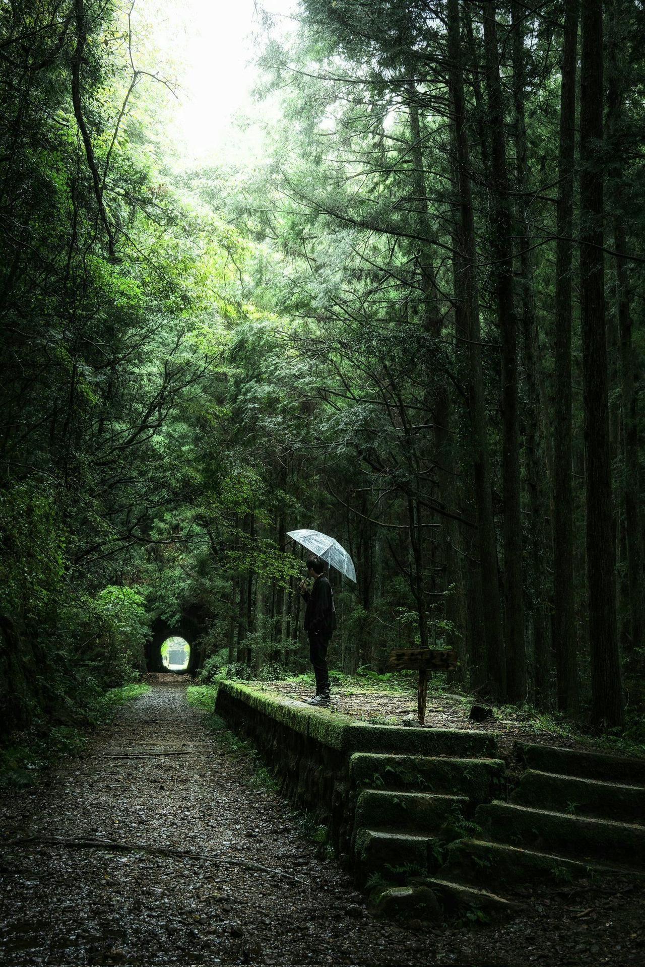 上联：林间听雨忘尘事，
下联：檐前揽月醉清风，
下联：陌上观花念故人。