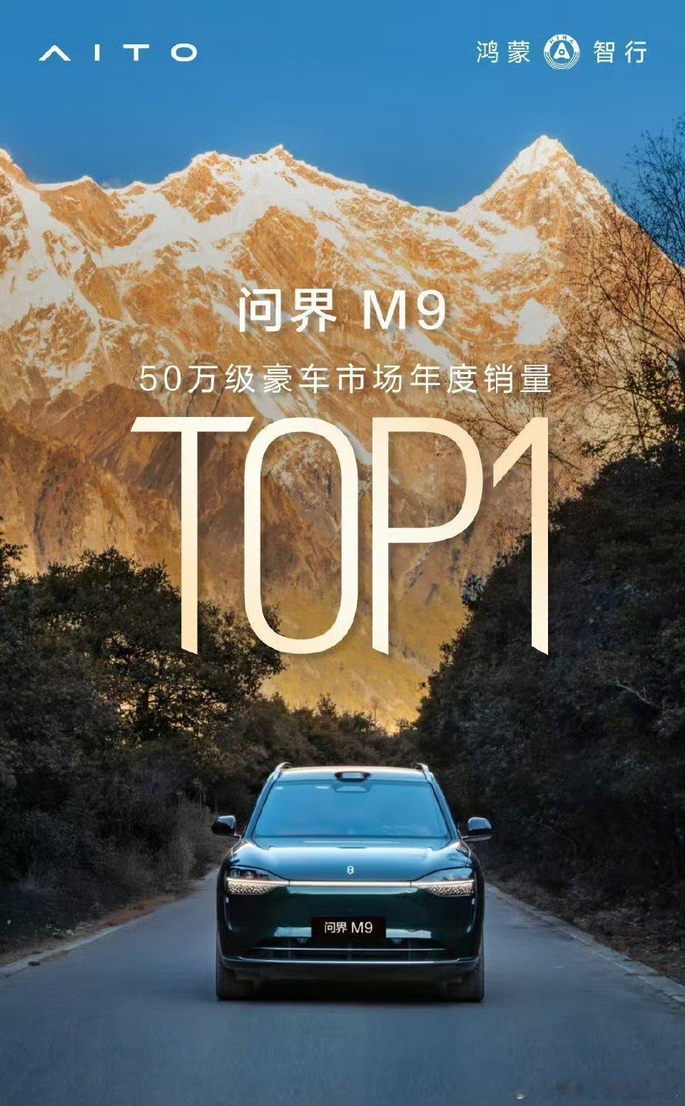 这个结果一点也不惊讶，看看问界M9车主自己做了多少个性化活动，就能想到问界M9转