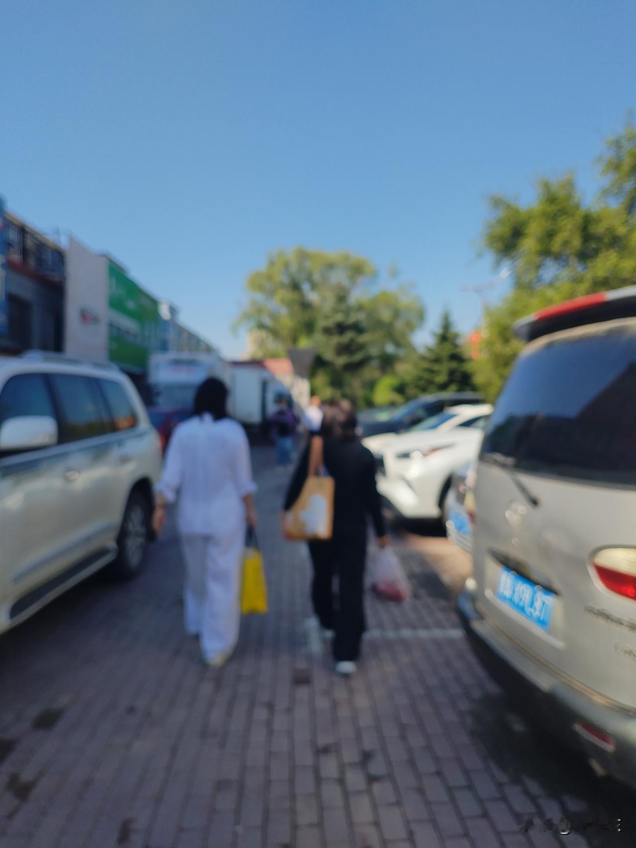 电车若收了养路费，我认为油价不会降。
   电车收不收养路费，与油价涨或将没有必