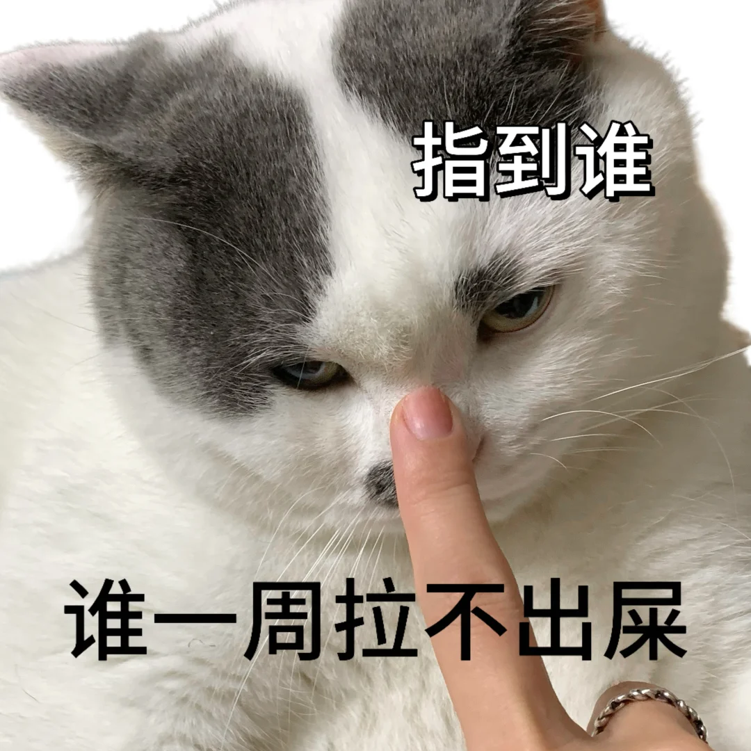 打工人实用猫咪表情包