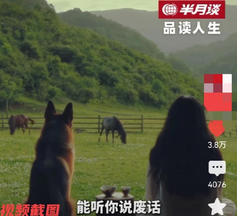 有人说，聆听世间的话语，感受一份美好。

因为我们终其一生都在找一个能说话的人，