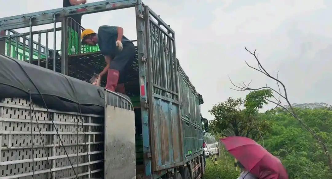 真的见到了“吃饱了撑的”。
最近，一位沈阳女子的神操作刷爆了全网。

这位女子从