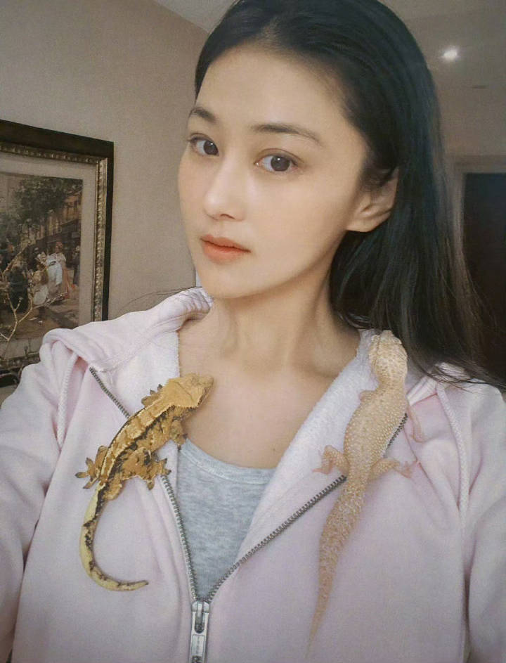 张馨予害怕壁虎 懂了张馨予除了壁虎🦎其它的都不害怕 ​​​