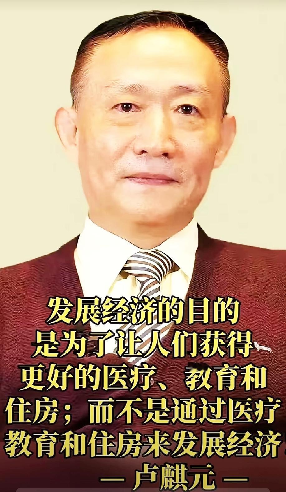 卢麒元一直反对把医疗、教育、住房这些民生领域过度资本化。他主张，经济发展不能偏离