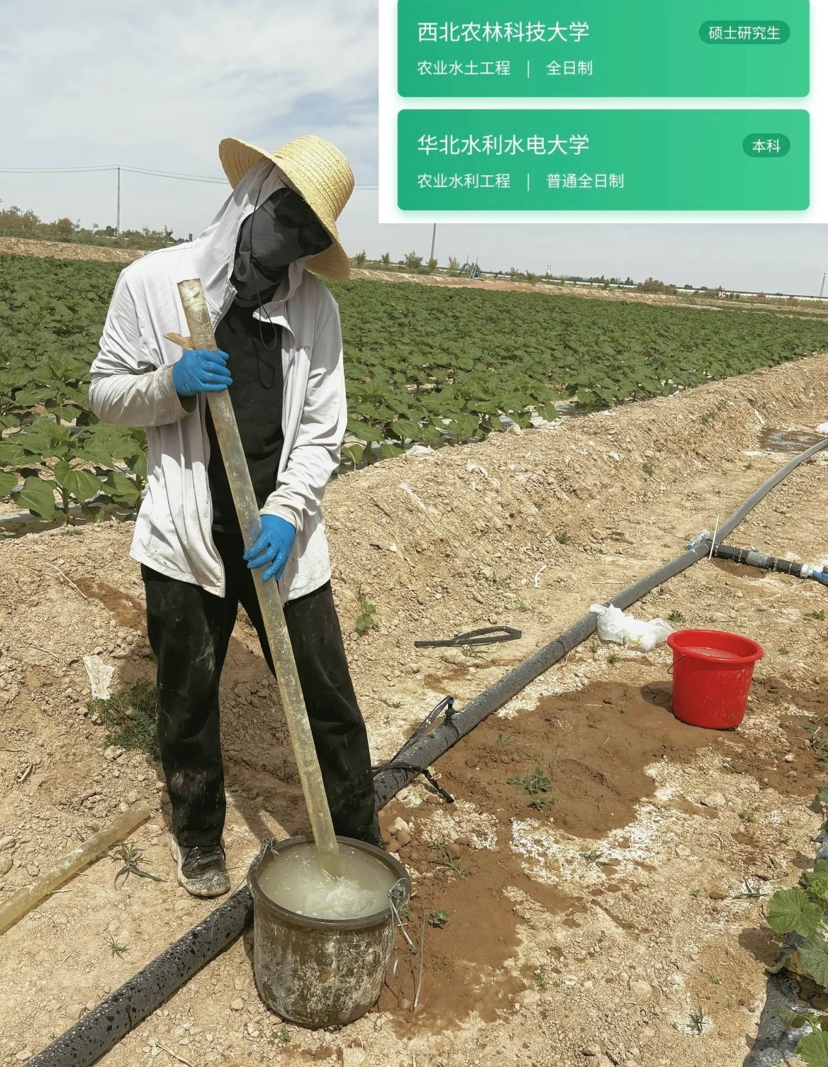 毕业后要保护自己的势能现在种地还要考研学长 我要不带壳的榴莲和猪一样大的芒果🥭