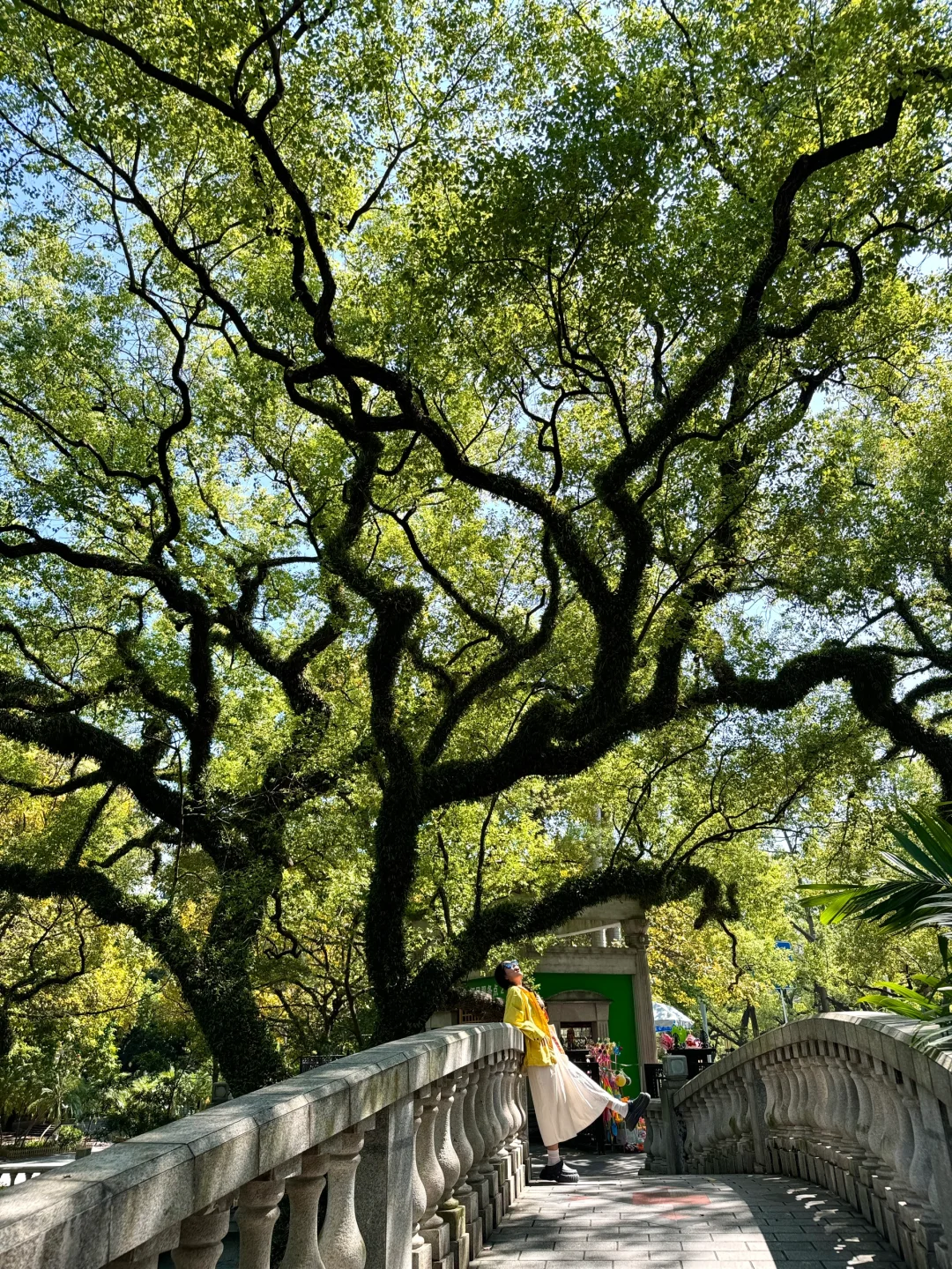羡慕佛山人！有这么好看的中山公园🌳