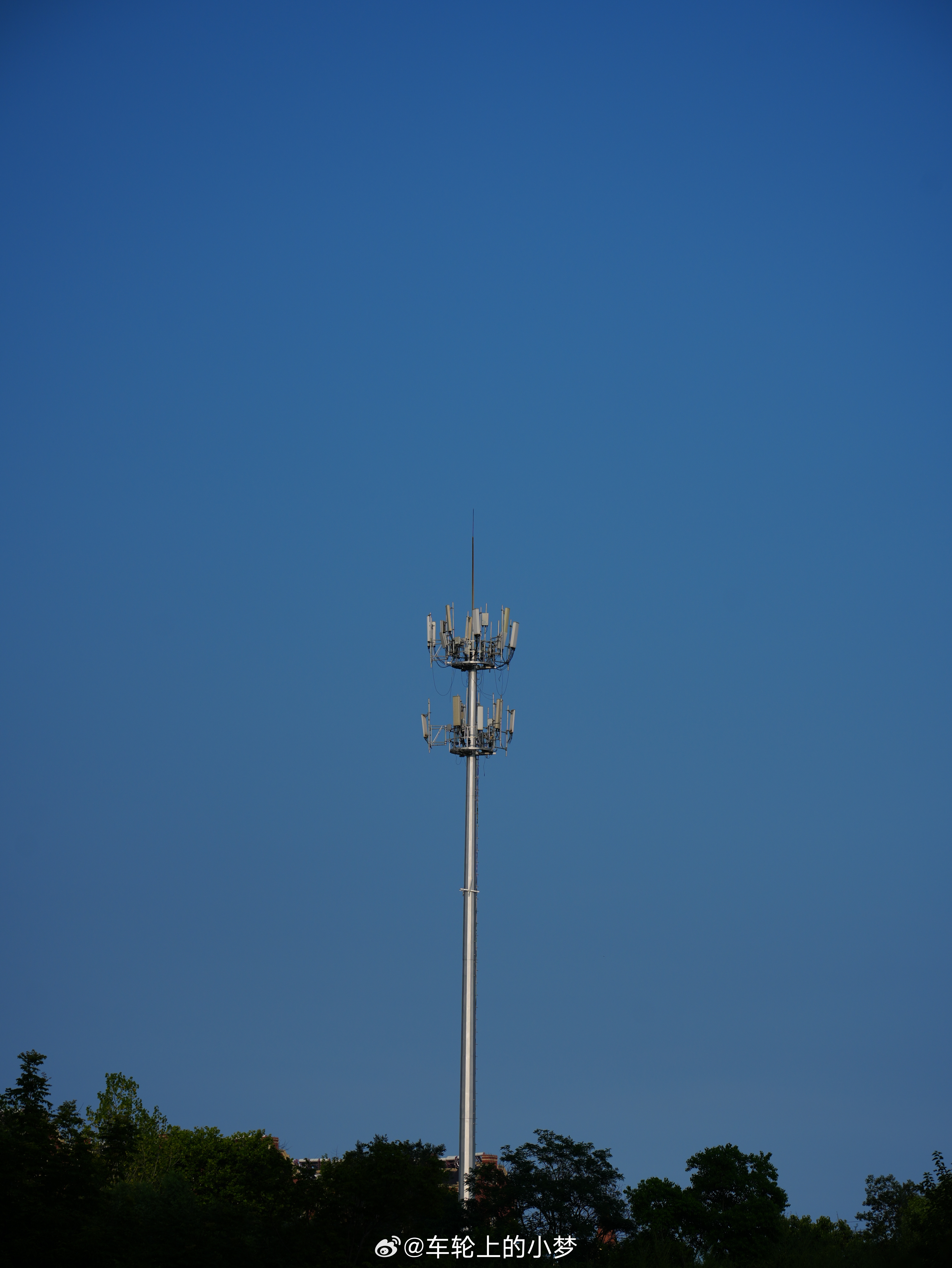 早～ 青岛