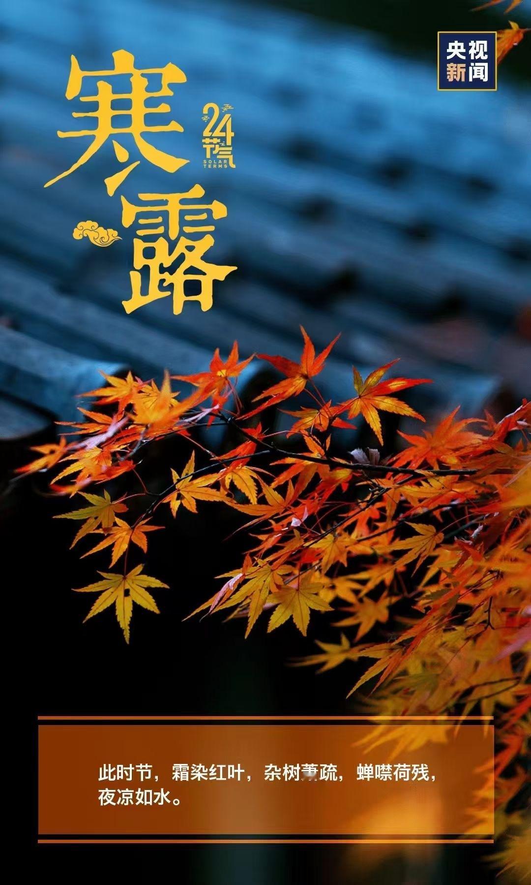 #中医##24节气# 今日寒露🍂俗话说：白露身不露，寒露脚不露（三阴交寒露后，