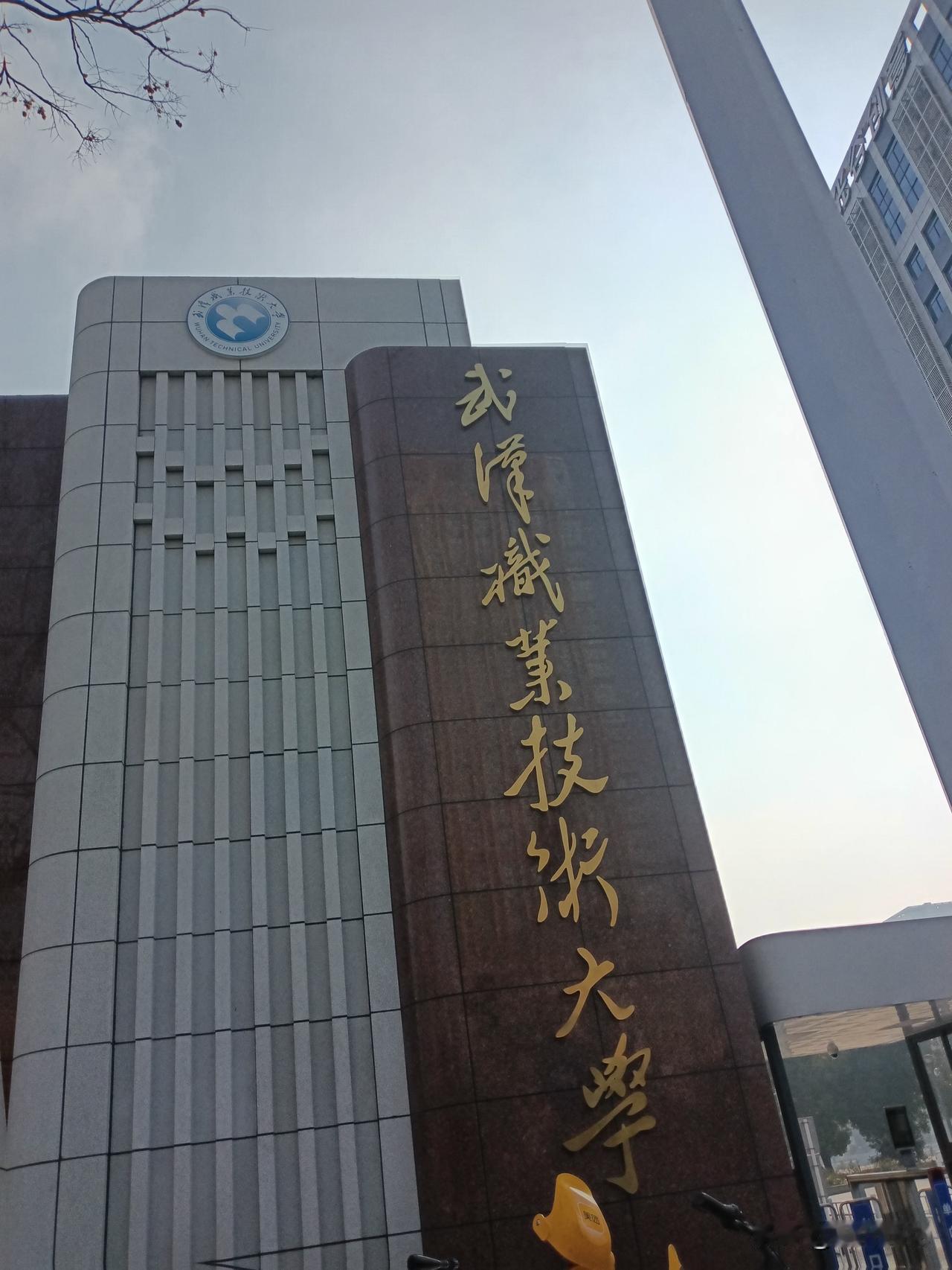 这是目前，孩子们守读的学校，从零开始，苦读十多年寒窗。
从这里，一步一个脚印的，