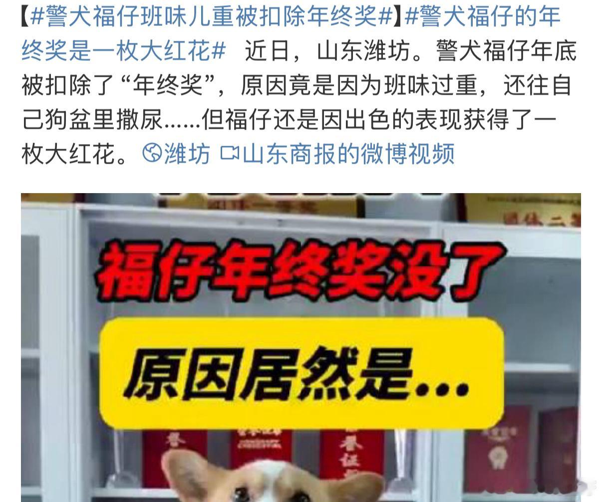 你看，修勾都受不了上班[doge]都给他累出眼袋了[哼]都辛苦一年了还克扣年终[