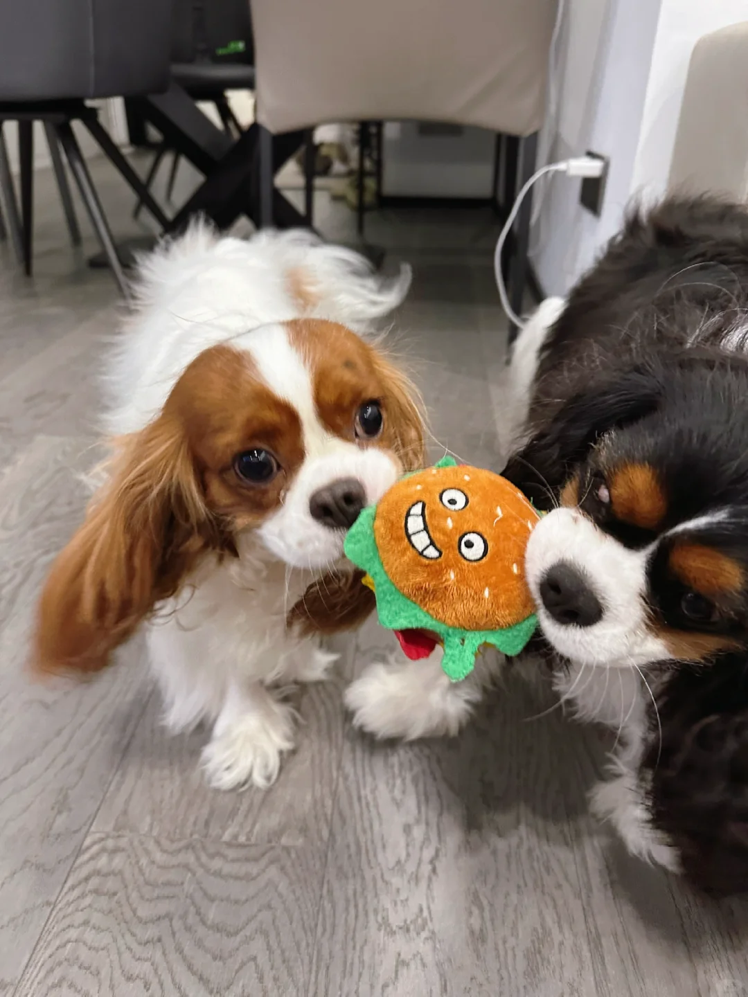 一个🍔两只🐶
