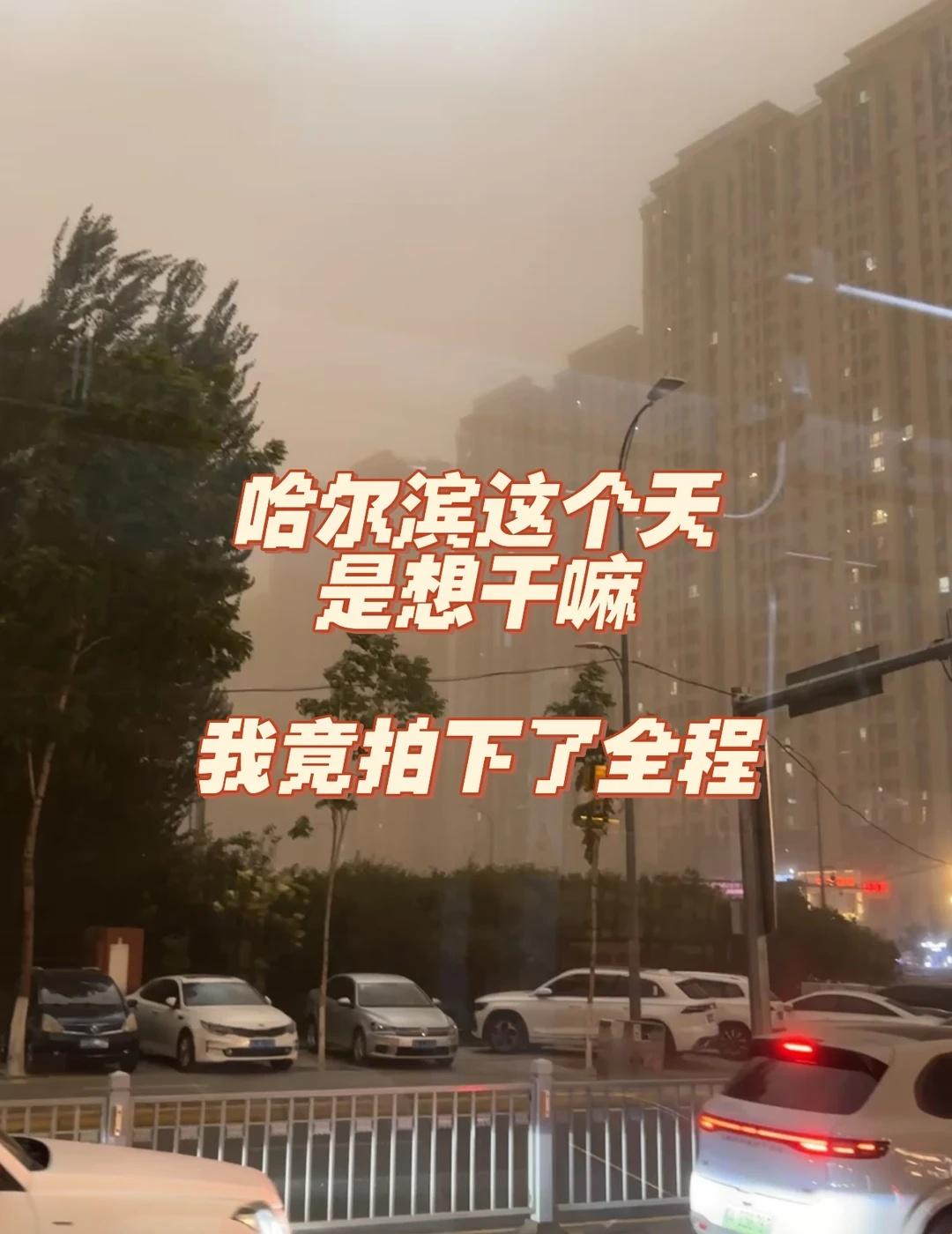 哈尔滨变天全过程被我拍下来了！！
今天还是近期最热的一天34度！！
尔滨果然是一