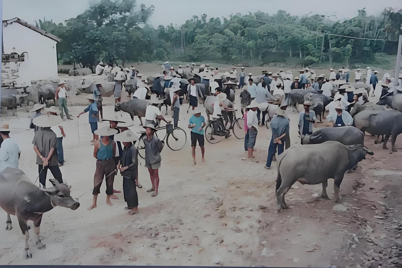 人民公社生产大队时期，大集上粜粮食、籴粮食，牲口市场。村里上年纪的老人戏称：哑巴